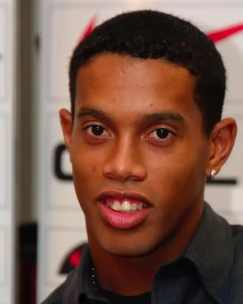 灰熊的对抗 灰熊的对抗